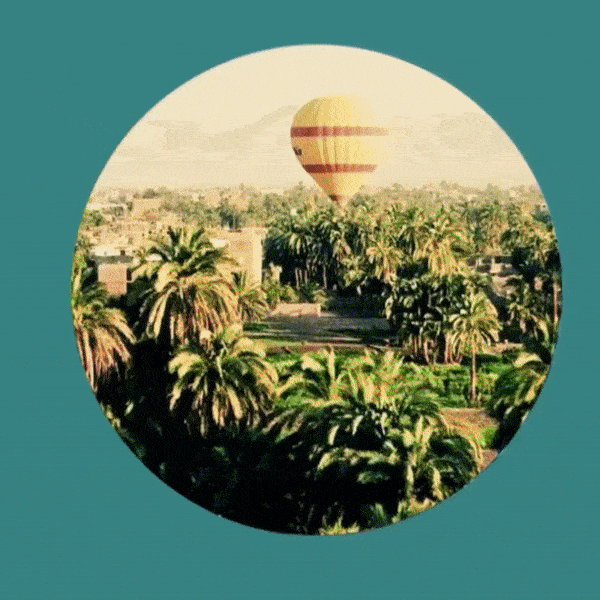 Circular grid with amazing hover effect using html and css.gif
